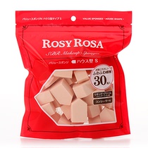 Japan ROSY ROSA MAKEUP SPONGE BLOCK DRY AND WET Upper Makeup Absorbent Jelly Powder Bashing Pentagram