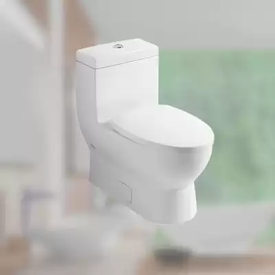 German brand original sabowei toilet 6616AS01 9M30S101 305MM toilet