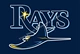 MLB Tampa Bay Rays Flag American Bóng chày chuyên nghiệp Mỹ Tampa Rays Flag - Bóng chày