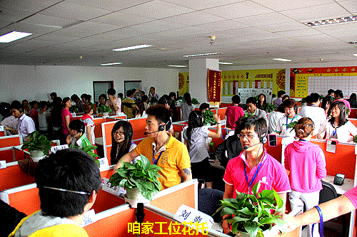 Sản phẩm mới nhà xanh bằng sáng chế sản phẩm trạm phân vùng màn hình chậu hoa khay văn phòng khu vườn xanh cung cấp chéo - Nguồn cung cấp vườn bình tưới cây cảnh
