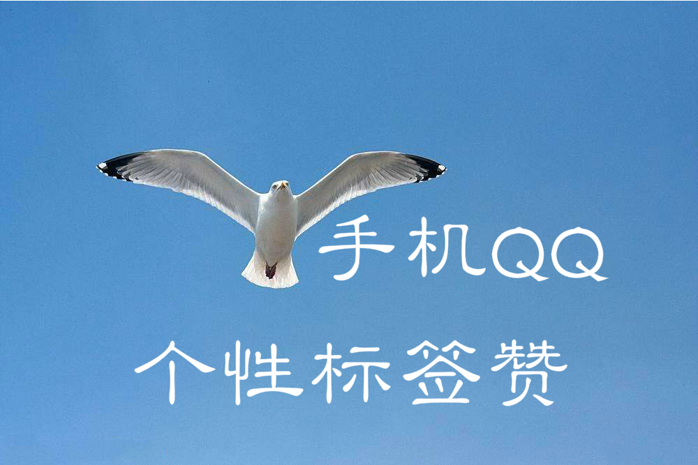 手机QQ个性标签赞