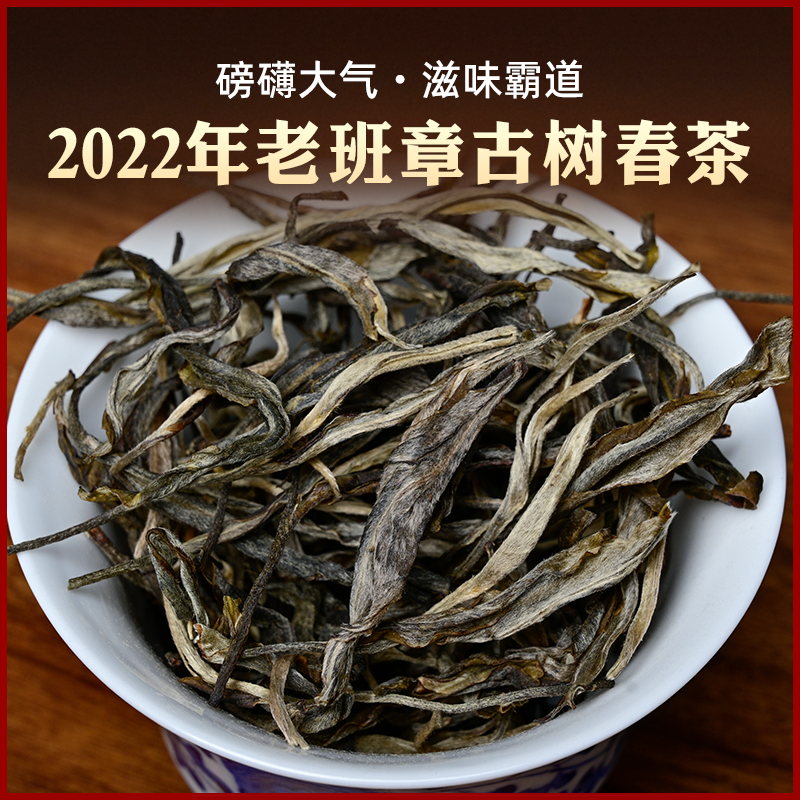 (2022 Head Spring Ancient Tree Tea) Yunnan Laobanzhang Pu'er Tea for more than 500 years old tree pure material raw tea 1000g