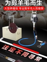  Imported 1200 watts high-power large flexible shaft Beiyuan blade wool almond syrup Wen play accessories rear drag