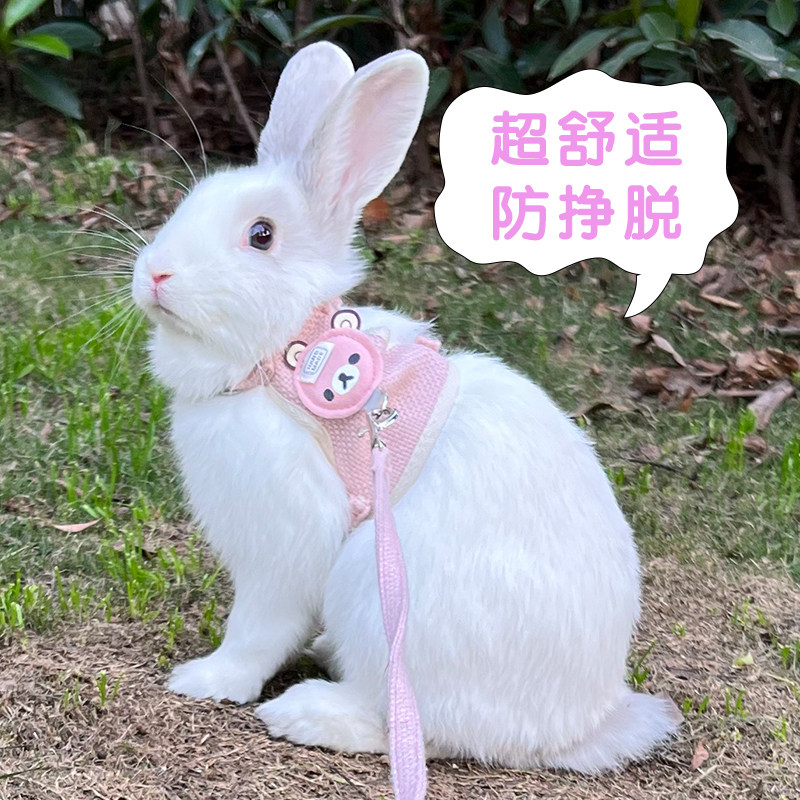 Rabbit harness leash: the new way to walk your bunny! this escape-proof ...
