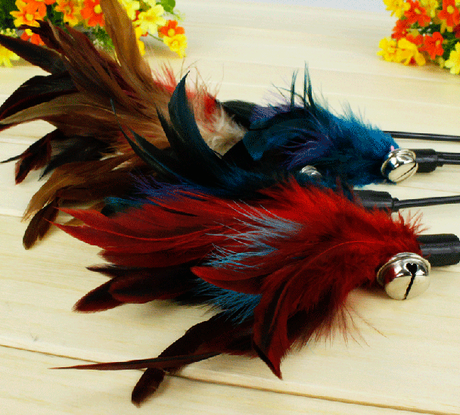 Special price Color Feather Cat Sticks Cat With Bell Rings Sound Toy Kitty Toy Loud and colorful Teasing Cat Poles