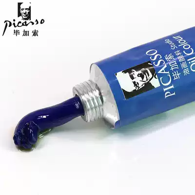 Phoenix painting material Picasso oil painting pigment 170ML creation painting frame art supplies material oil canvas