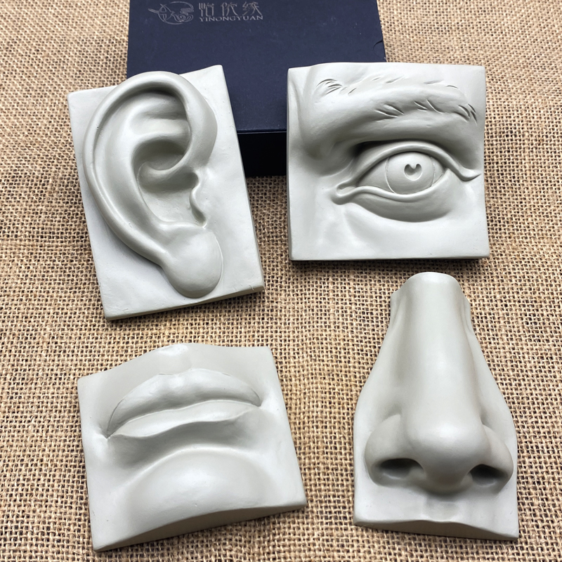 Body's five official model plaster like sketching art aid fine art supplies resin avatar real face section painting room-Taobao