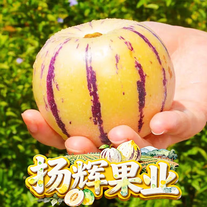扬辉树熟人参果产地直供