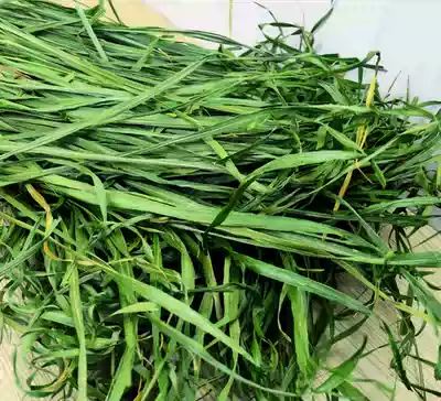 21-year boutique special green A- grade dried wheat grass hay new grass rabbit chinchish pig pasture gross weight 1kg