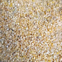 5kg bird food Bird grain crushed millet shellless millet broken rice grass seed Chicken Duck Goose Green Bird Pearl tiger skin parrot