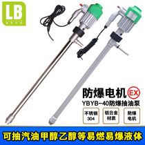 Stainless steel explosion-proof oil barrel pump Portable gasoline methanol oil pump 220V explosion-proof oil pump