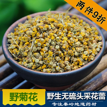  Wild Chinese herbal medicine farm wild chrysanthemum 250g Wild bulk chrysanthemum head picking buds can make tea