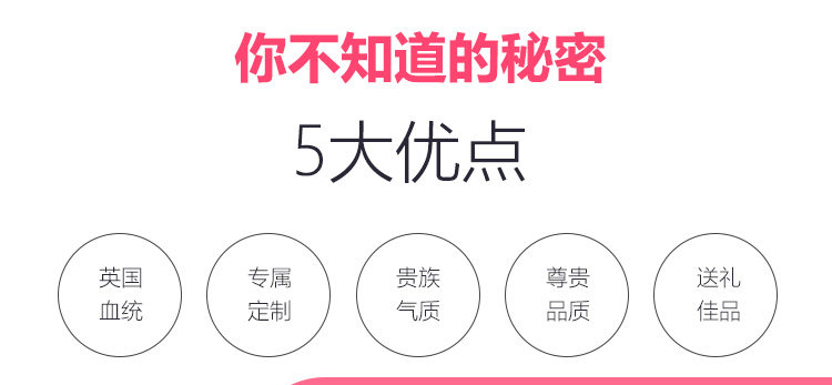 Coffret cadeau pour bébé - vêtements CT67020 - Ref 1955295 Image 20