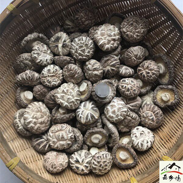 New goods farmhouse hand-picked white flower mushrooms dry goods 500g Henan Xixia special production farmhouse large thick linen wood mushrooms