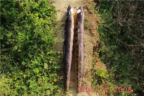 Peluche manga en peluche anguille Pippi - Ref 2694963 Image 10