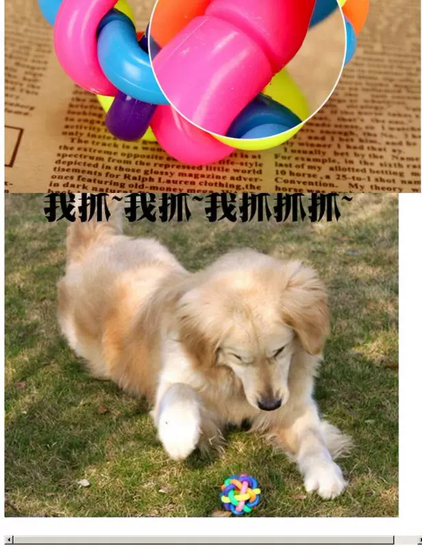 Pet đồ chơi chó cầu vồng chuông đầy màu sắc Teddy Satsuma Golden Retriever cún con mèo cắn mèo