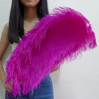 Роза красная