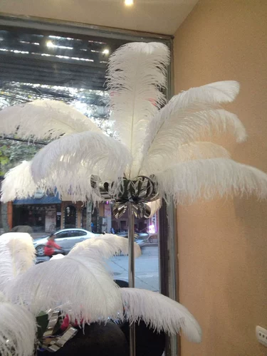 Южная Африка импортированная страус.