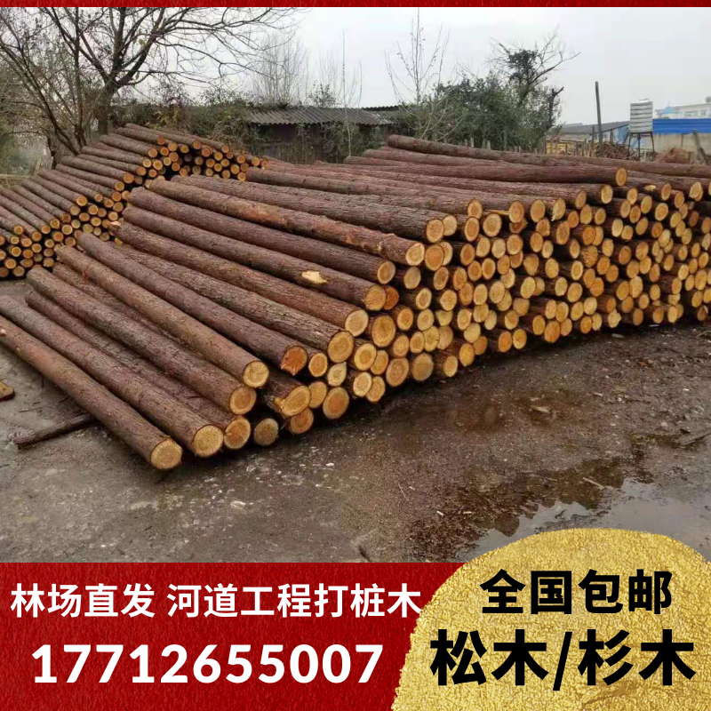 Pine pile piling wood Fir outdoor river revetment Log greening branch telescopic rod flood control stake Round wood