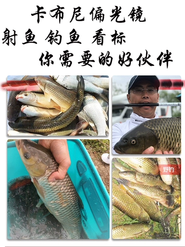 Мужское поляризованное зеркало на открытом воздухе, рыба, рыбные стаканы, см. Дно воды, дно рыбных стаканов.