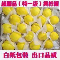 Sichuan Anyue specialty fresh yellow lemon first-grade thin-skinned fruit with sufficient moisture for pregnant women in white paper packaging