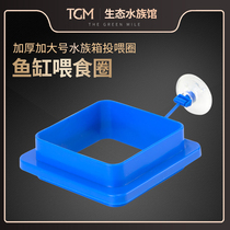 Fish tank feeding ring thickening enlarged aquarium feeding ring water surface buoyancy fish feed dispenser with suction cup