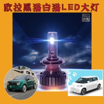 Spot Euler black Cat LED headlight modified far and near light integrated bulb White cat low light bulb pair