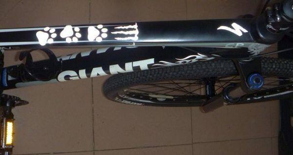 Autocollant pour vélo - Ref 2281918 Image 58