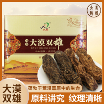 Dunhuang Dunwei Daxiong Double Xiongxiong Lock Yang Cistanche Gift Box 600 gr Gansu Gift Guan State