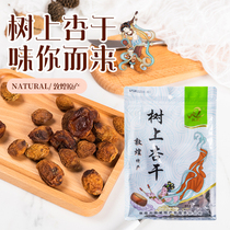 Dunhuang Tree Almond dried Li Guangxun Weiteryield 300 gr Fruit Dry Dried Almond without Add Snack Original Flavor