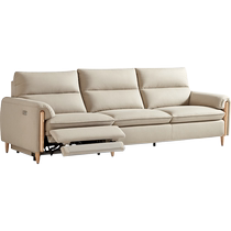 Lins Home Nordic Fabric Sofa Living Room 2024 New Technology Fabric Small Apartment Electric Sofa Lins Wood Industry