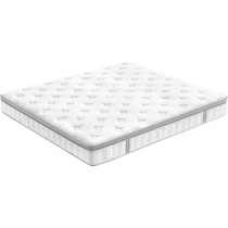 Lins home latex mattress 1 meter 5x2 meters antibacterial and anti-mite spring mattress 23cm thick Lins Wood CDS530