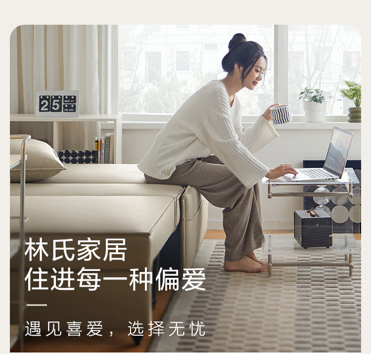 TBS331-A组合-商品详情750-双色沙发床_01.jpg