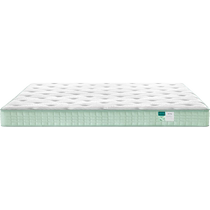 Lins home natural latex mattress anti-mite and antibacterial household double mattress net series Lins Wood CD166