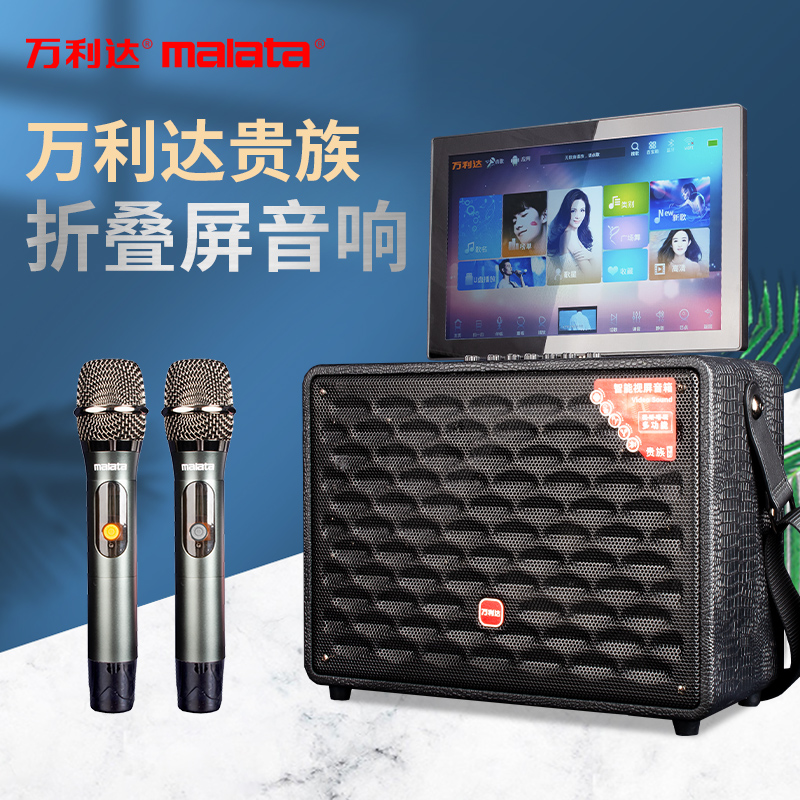 Vanlida outdoor portable mobile film live sound card sound folding with display screen K song square dance speaker