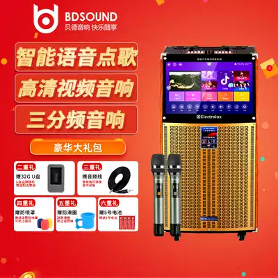 ElectroluxT15 inch sound card video audio outdoor square dance mobile 19 inch screen voice song networking