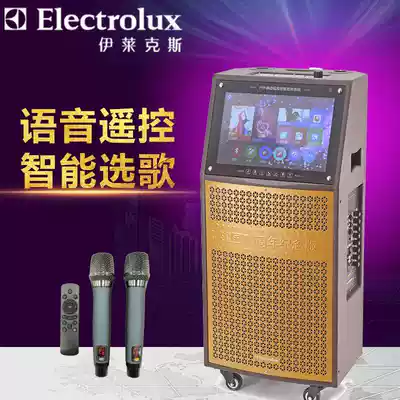 Electrolux outdoor square dance high power mobile video audio WIFI smart voice with Display Audio