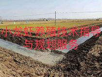 Crayfish breeding technical service guidance proposal pond planning Water care less walking Bay Road free consultation