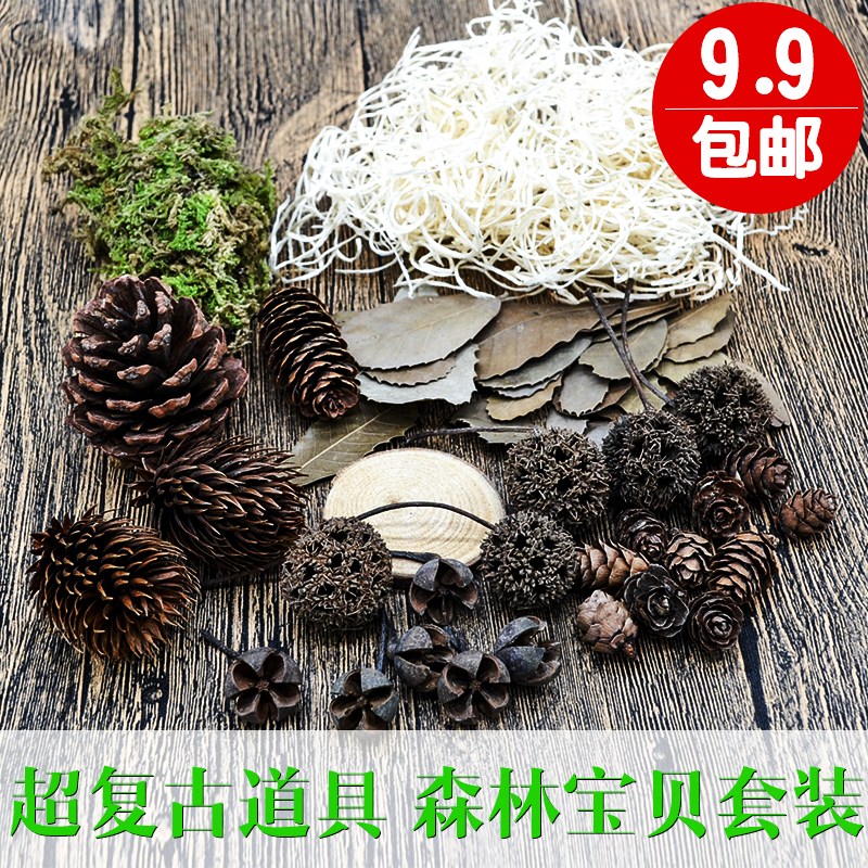 Photo shoot Props Forest Baby Suit Photographic Retro props with background pine nuts leaves