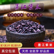 Yunnan Mojiang natural purple rice low fat blood glutinous rice rice ball sushi purple rice Dew coarse grain porridge new grain 2kg