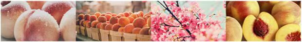 W.DRESSROOM Doris xịt nước hoa lụa Tian Yiguo cùng nước hoa Tháng tư bông đào nhẹ nhàng - Nước hoa nước hoa versace eros