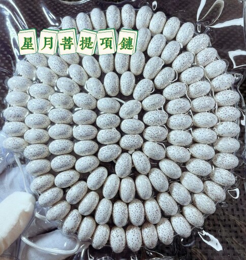 海南菩提阁的LOGO