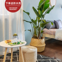 Seagrass woven flower baskets Nordic straw woven flower pots bamboo woven baskets decorative ornaments rattan woven storage baskets living room basin creative ideas