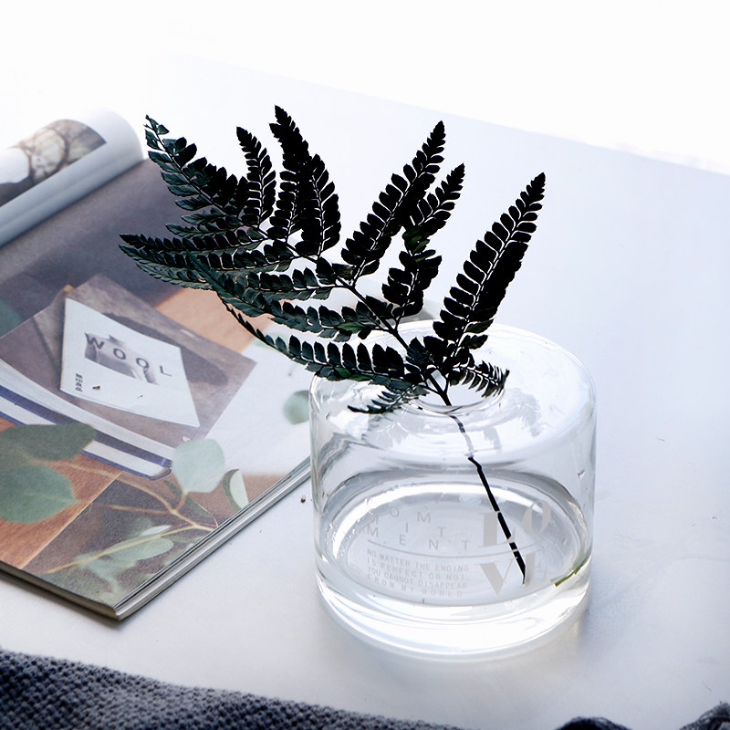 In Nordic minimal printed vase transparent glass vase vase indoor living room fitting pot water culture container
