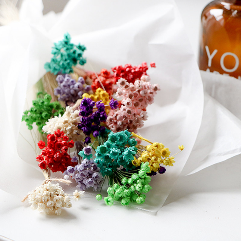 Small Stars Flower Natural Small Daisy Art Dry Flower Branches Fresh minimalist Decorative Furnishing bouquet to shoot props true flowers