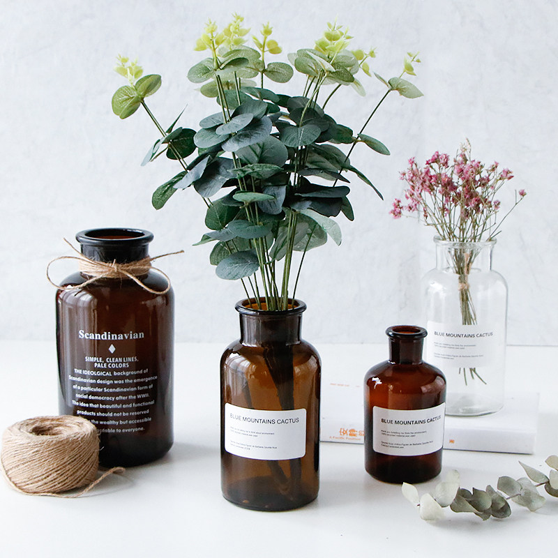 ins Nordic style creative brown small vase simple transparent glass dry flower flower arrangement hydroponic plant ornament