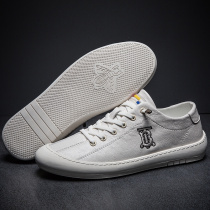 2020 spring new product European station embroidered trendy mens casual sneakers versatile trendy lazy sports casual mens shoes