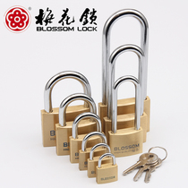 Copper padlock Plum lock Anti-theft waterproof anti-rust long beam pure copper lock Student drawer cabinet luggage small padlock