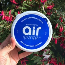 Canada Post AIR SPONGE Air purifier decoration formaldehyde car odor 227g