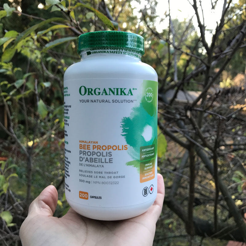 Canadian direct mail Organika propolis capsules 500mg 200 capsules high concentration to enhance physical fitness